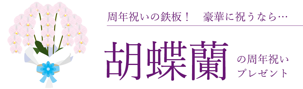 豪華な周年祝いのプレゼントにおすすめの胡蝶蘭2選