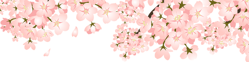 桜グッズで今年の春を楽しもう♪