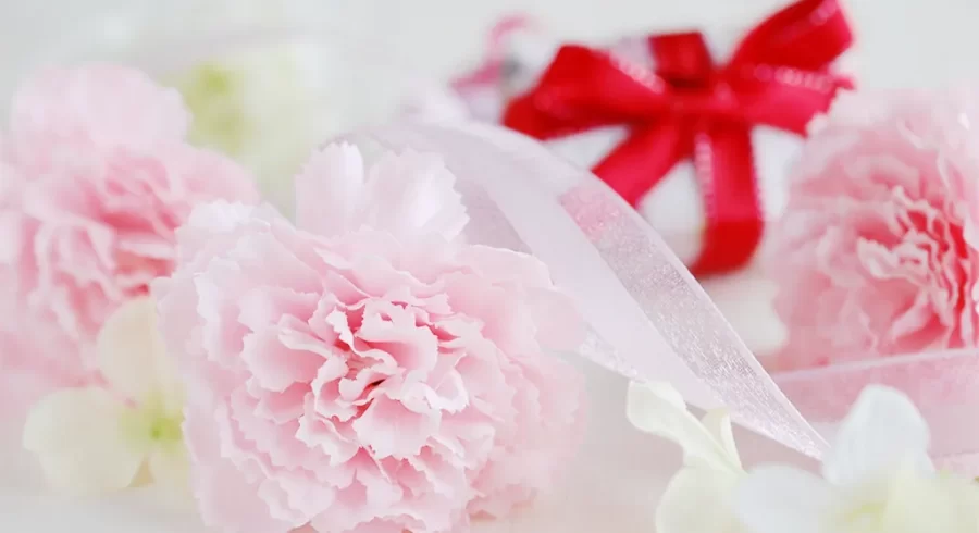 もう迷わない！物欲のない母に喜ばれるプレゼント20選【母の日・誕生日】